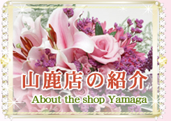 山鹿店の紹介