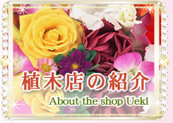 植木店の紹介