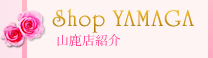 山鹿店紹介